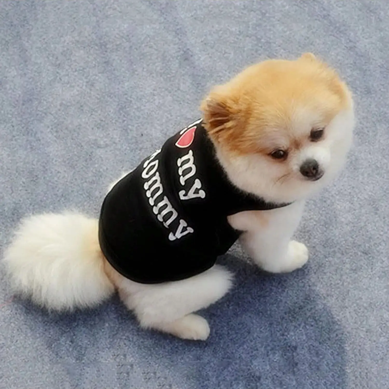 Pet Dog Vest T-Shirt I Love My Daddy Mommy Vest Gift Costume Clothes for Small Puppy Cat Kitten Yorkshire Chihuahua Poodle - Image 6